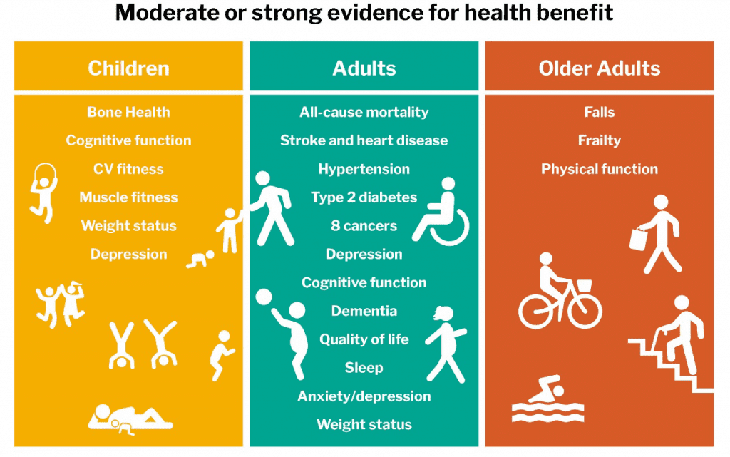 obesity sports healthcare