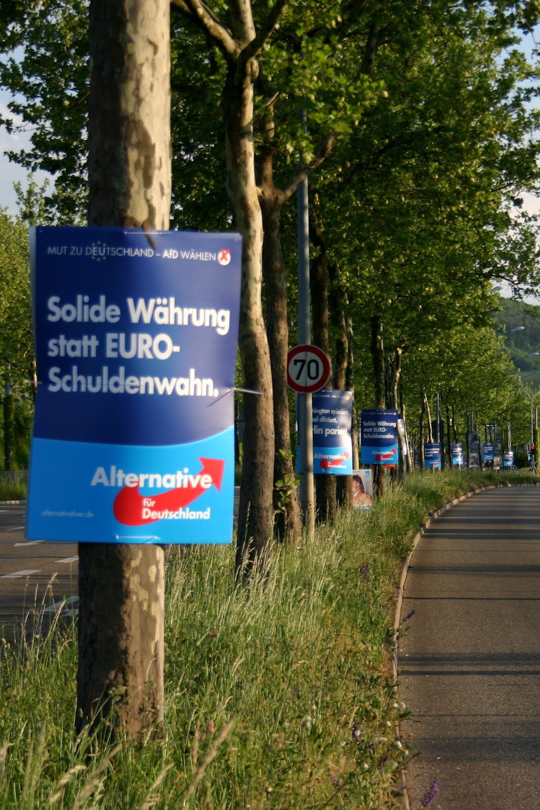 AfD posters
