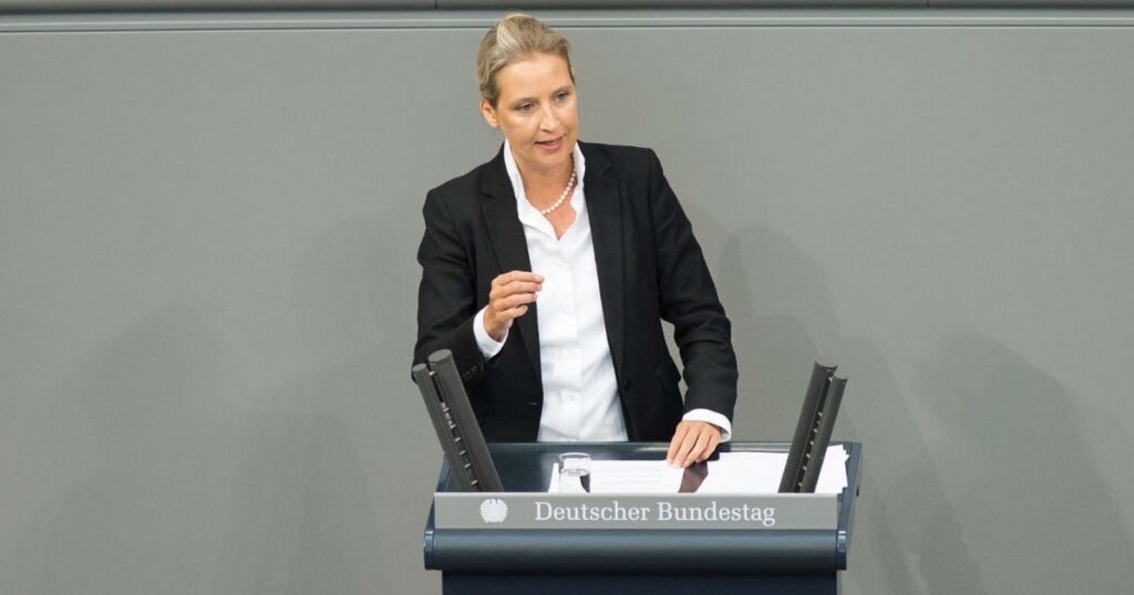 AfD Leader