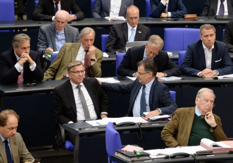 AfD in parliament